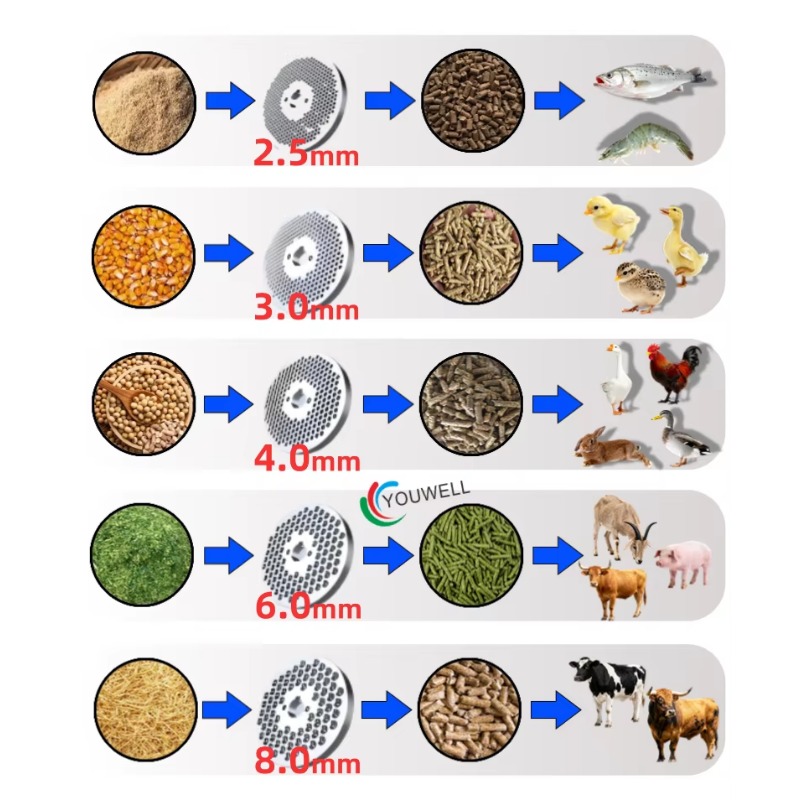 Farming Is Part Of Agriculture - Durable Feed Pellet Machine Grinding Disc