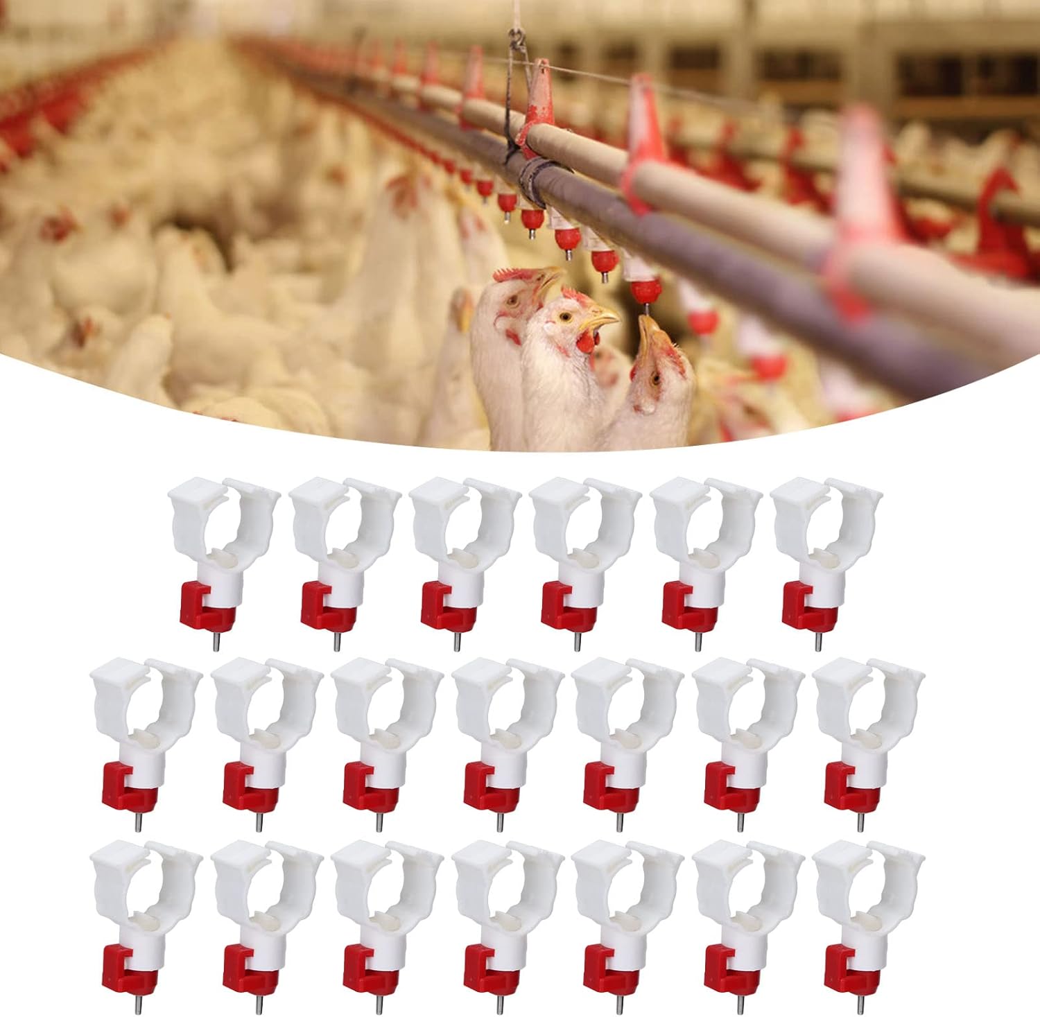Chicken Nipple Drinker - High Quality 20PCS Chicken Nipple Drinker