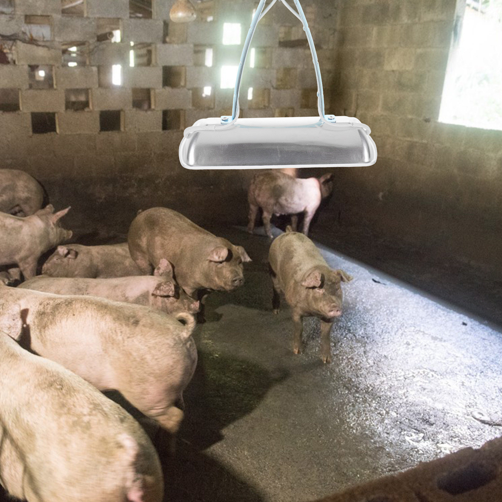 Farming & Agriculture Word Stacks - Pig Farm Heat Lamp Bulb E27