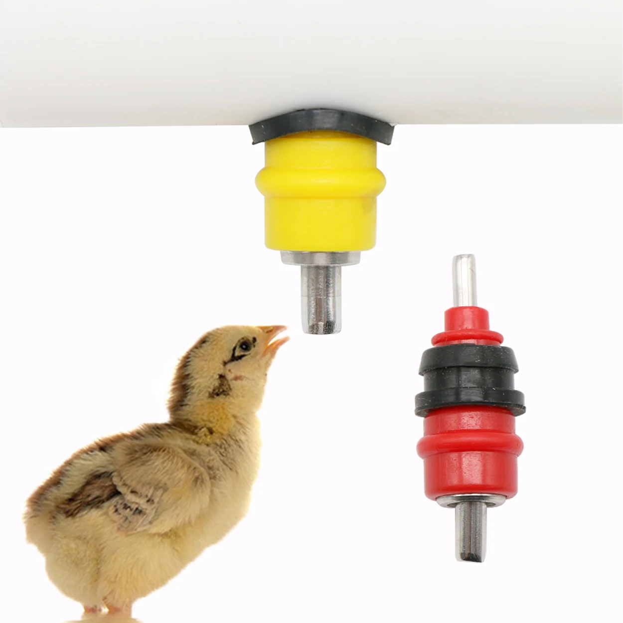 Chicken Nipple Drinker - 10Pcs Quail Pigeon Bird Waterer Chicken