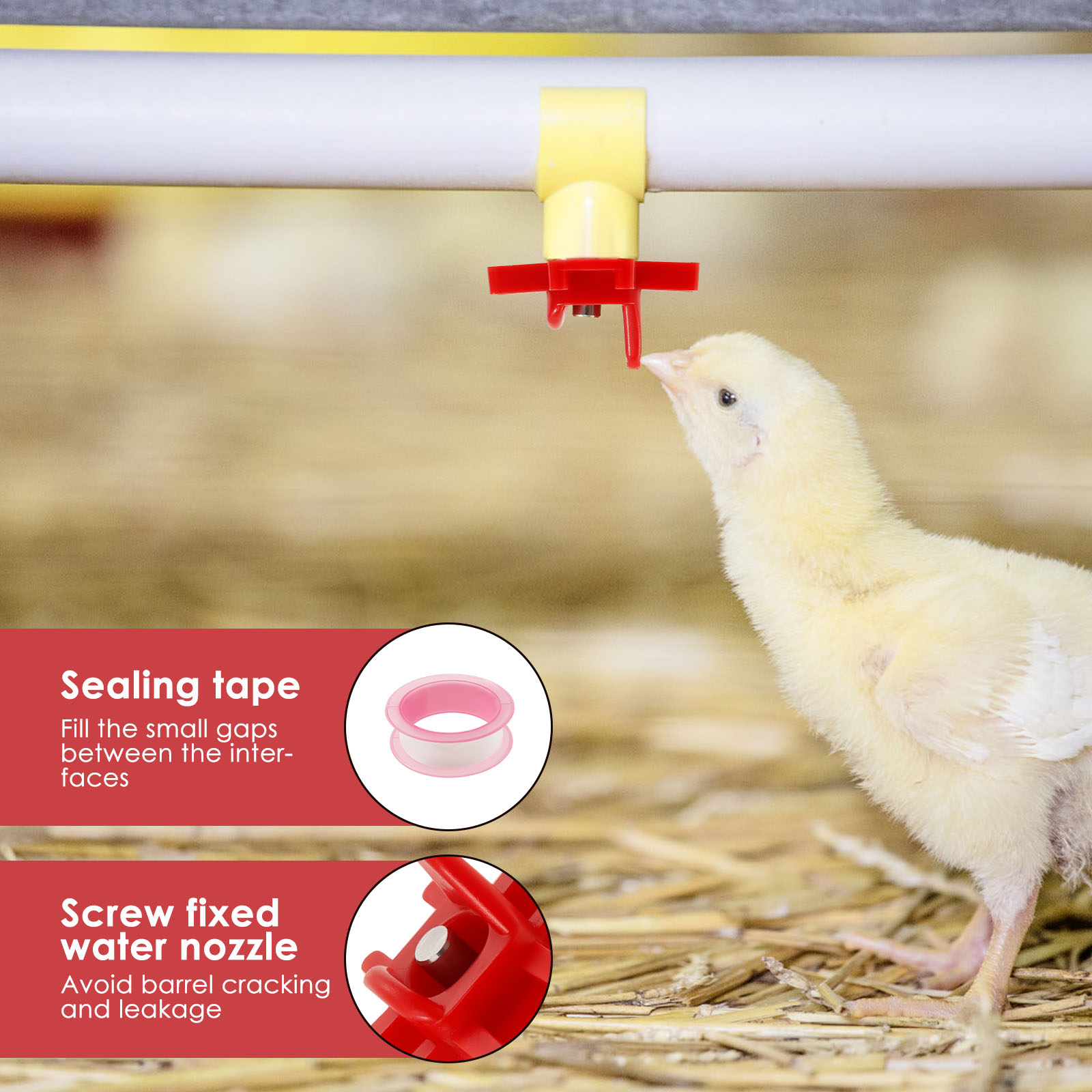 30Pcs Chicken Waterer Nipple D - đánh giá và giá Chicken Nipple Drinker