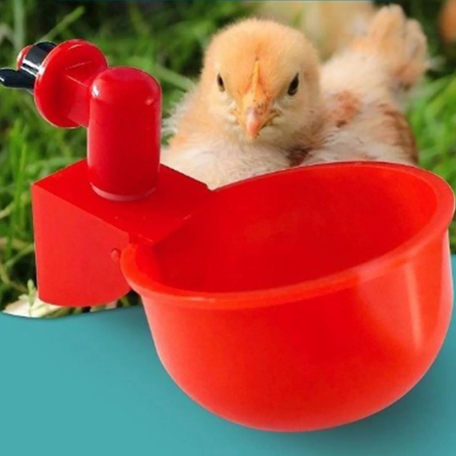 6-36Pcs Chicken Duck Drinking  - đánh giá và giá Chicken Nipple Drinker