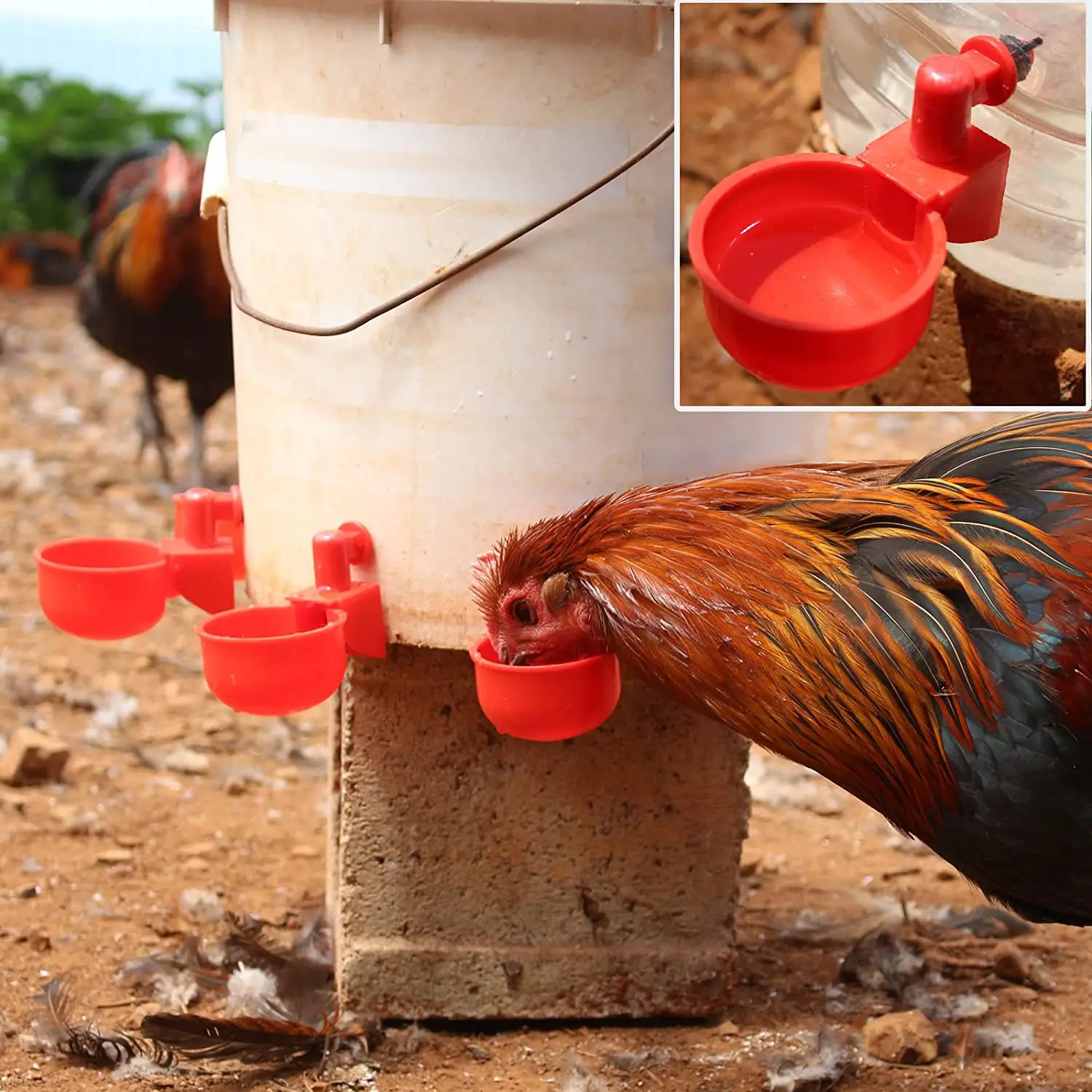 6-36Pcs Chicken Duck Drinking  - đánh giá và giá Chicken Nipple Drinker