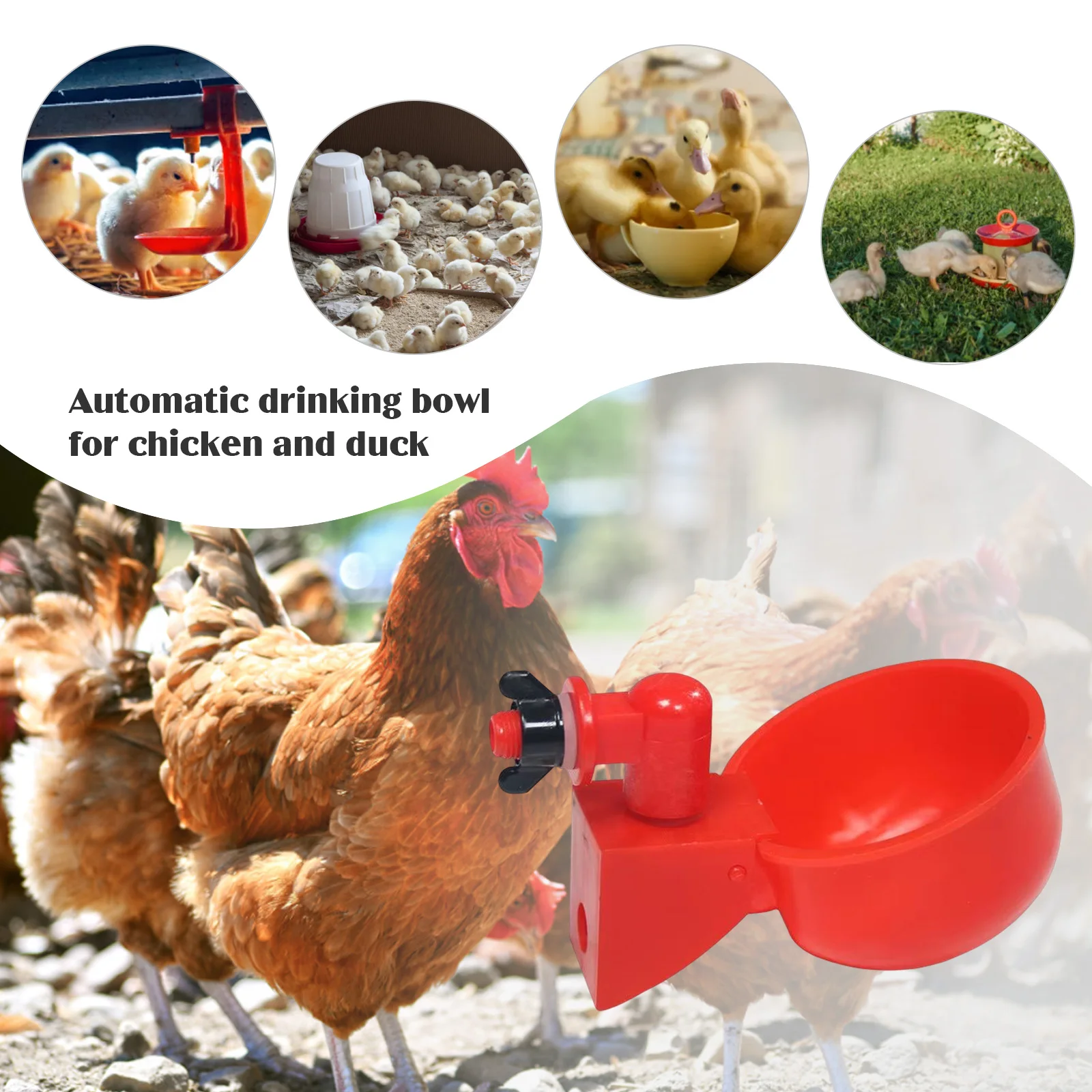 6-36Pcs Chicken Duck Drinking  - đánh giá và giá Chicken Nipple Drinker