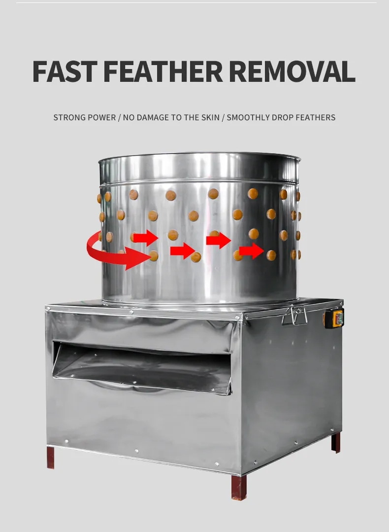HHD Medium Size SD50 Chicken F - đánh giá và giá Chicken Plucker Machine