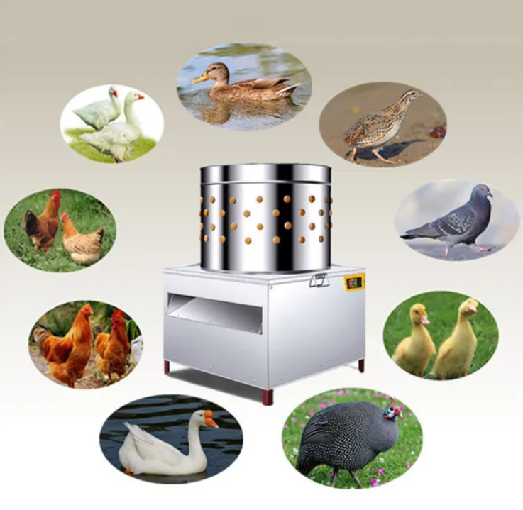 Commercial Chicken Defeatherin - đánh giá và giá Chicken Plucker Machine
