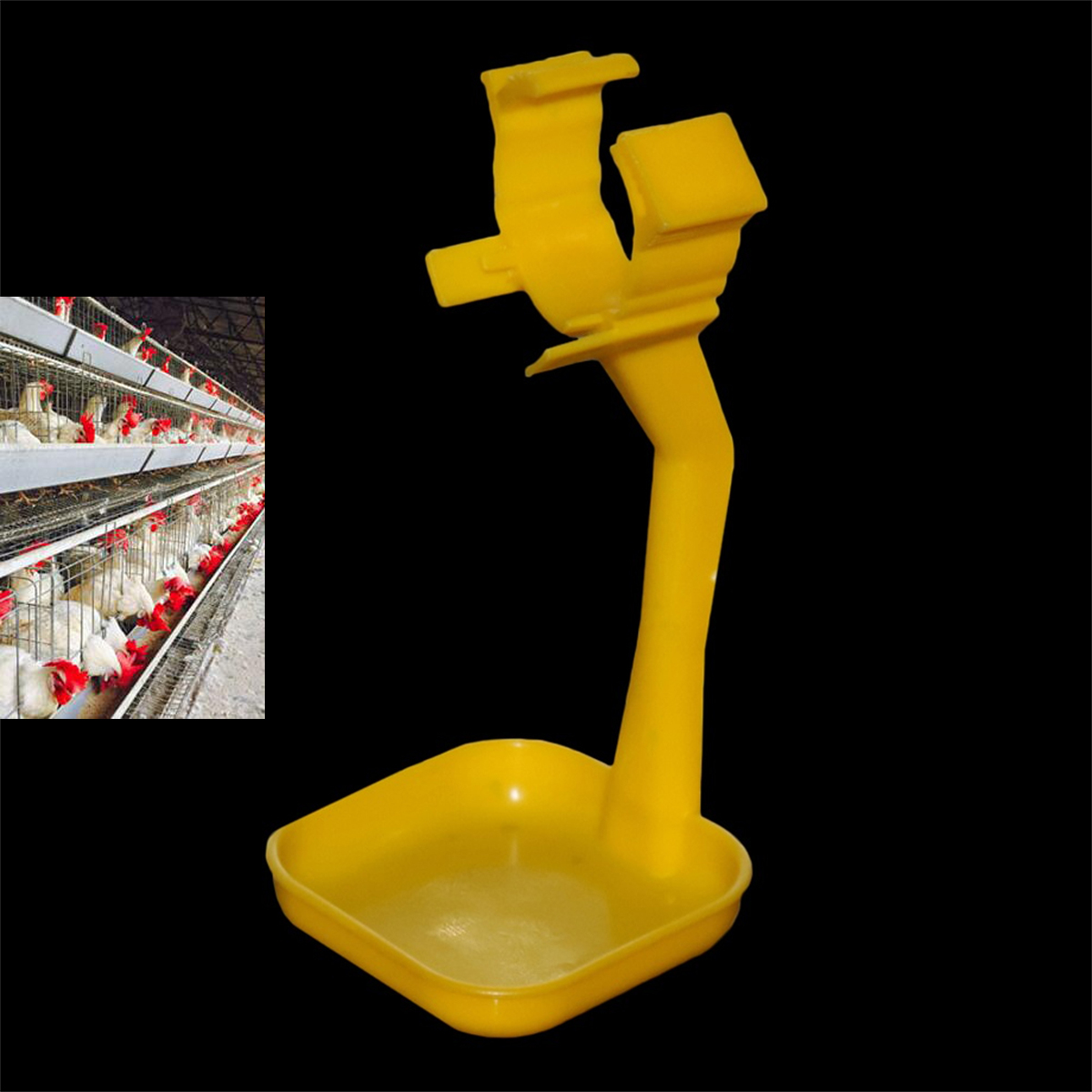 40Pcs Chicken Duck Hanging Cup - đánh giá và giá Chicken Nipple Drinker