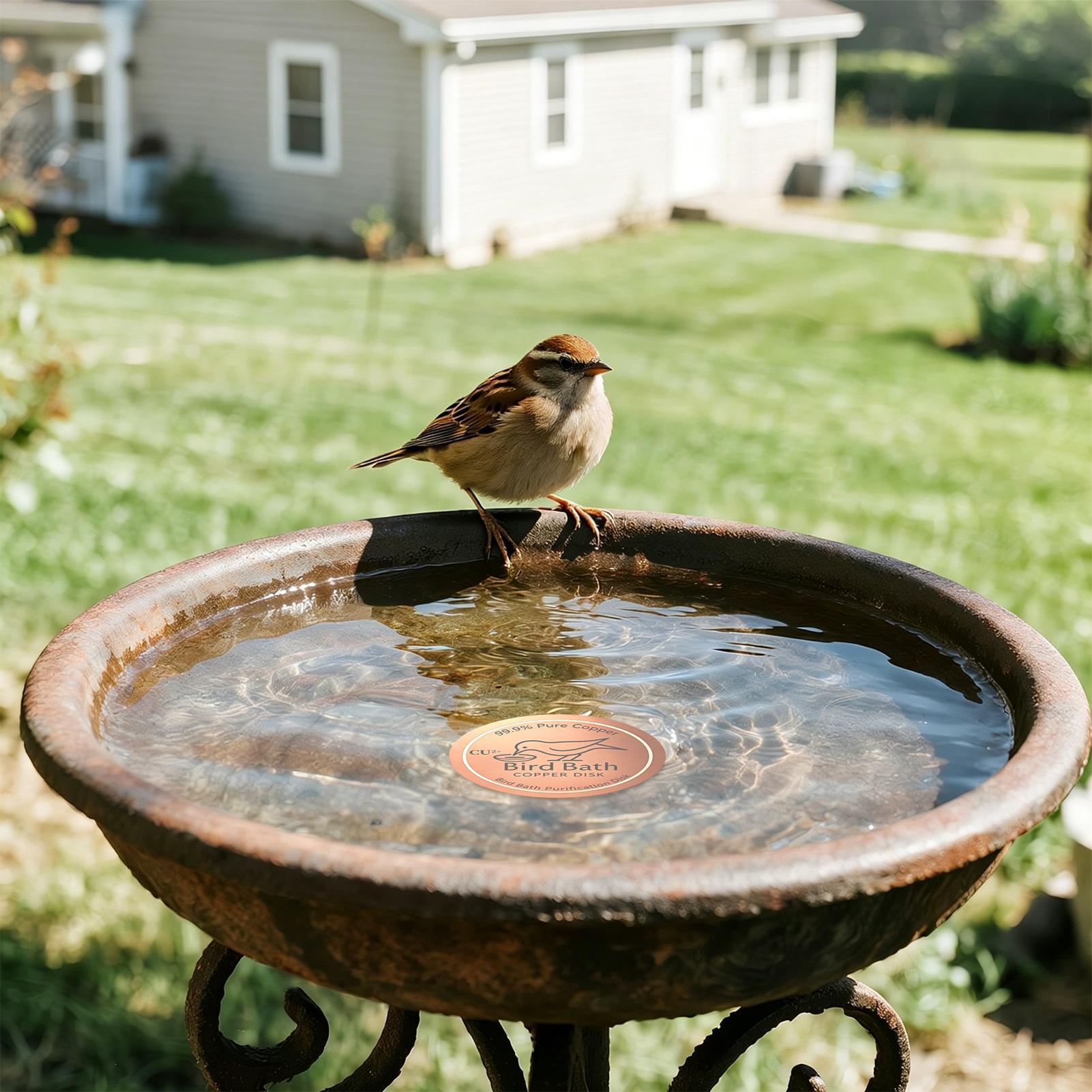 Bird Bath Copper Disk 0.6mm Th - đánh giá và giá Farming & Agriculture Word Stacks