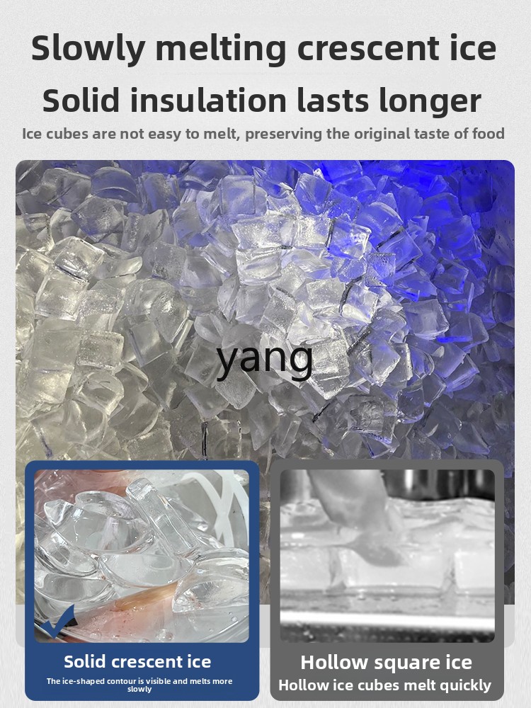 CX ice machine commercial auto - đánh giá và giá Milking Machine