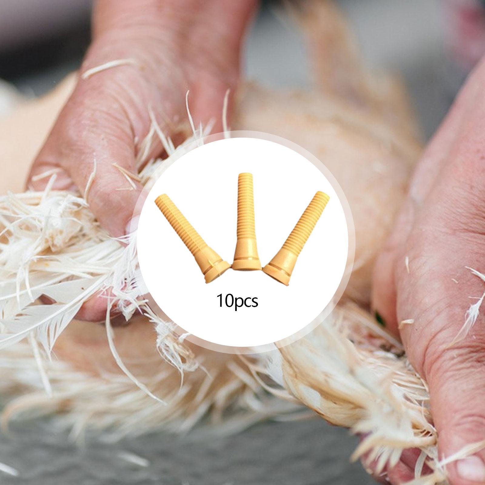 Poultry Plucker Machine Parts  - đánh giá và giá Chicken Plucker Machine