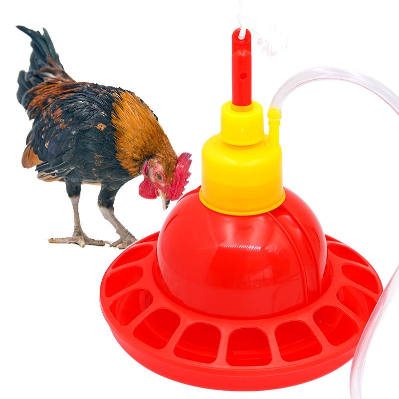 1 Set Chicken Duck Goose Broil - đánh giá và giá Chicken Nipple Drinker