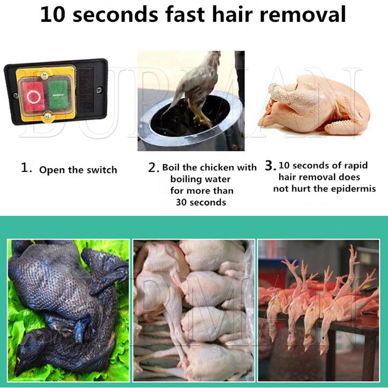 New Quail Pigeons Bird Hair Re - đánh giá và giá Chicken Plucker Machine