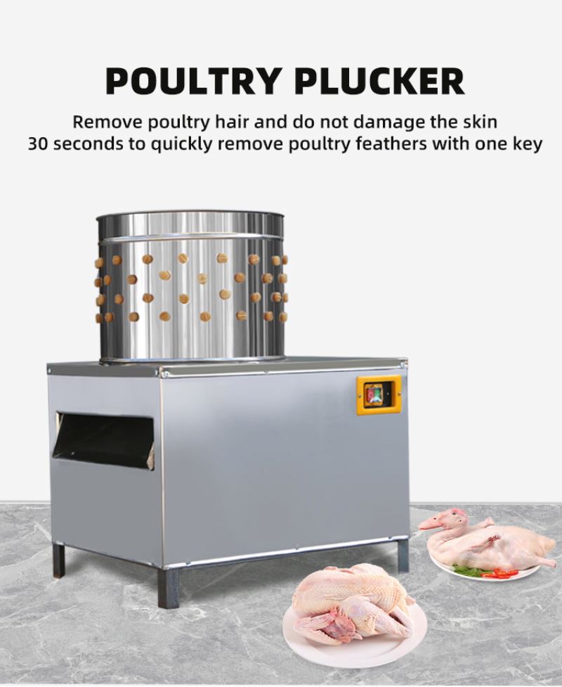 ISO Approved Pigeons Chicken S - đánh giá và giá Chicken Plucker Machine