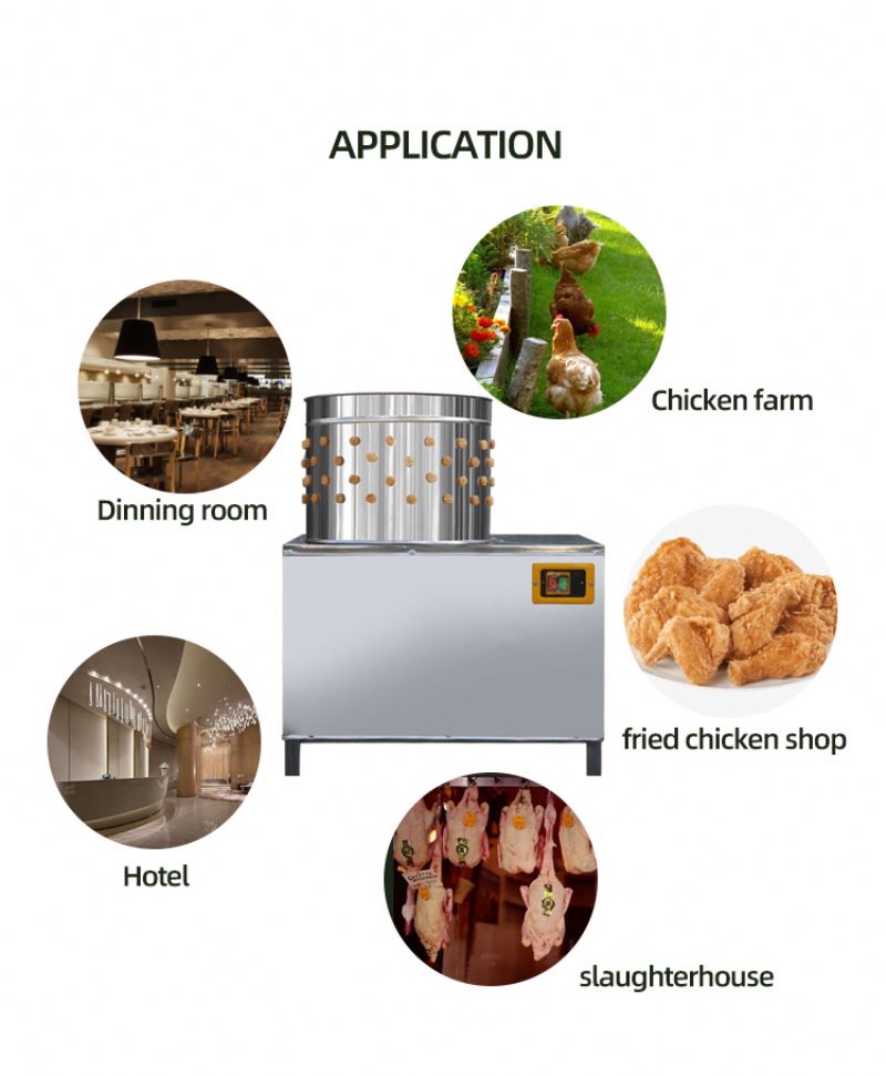 ISO Approved Pigeons Chicken S - đánh giá và giá Chicken Plucker Machine